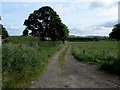 Access Lane to East Witton Mill