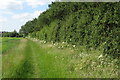 Bridleway by the Quinton Screen