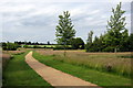 Path through Foxfield park