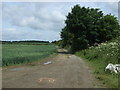 Farm track, Clay Farm