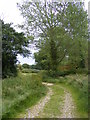 Footpath to The Causeway (School Road)