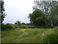 Footpath to The Causeway (School Road)