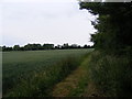 Footpath to Scalesbrook Lane & The Danger