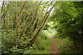 Unofficial footpath between the M62 and Lindley Moor Road