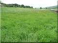 Meadow north of Chapel House Farm