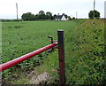 Gate and farmland along Barton Lane