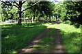 Footpath past Piddington Lodge