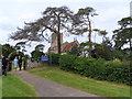 Wedding party at St Mary the Virgin, Carlton