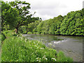 River Annan