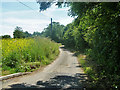 Lane to Colville Hall