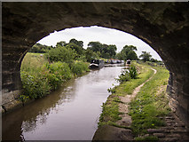 SJ8458 : Macclesfield Canal - Bridge 86 by Kim Fyson