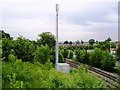 Communication mast and railway