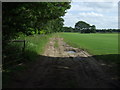 SK8473 : Farm track beside Road Wood by JThomas