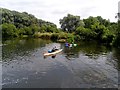 Canoeists in the River Nene