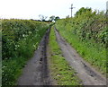 Farm track near Bagworth Road