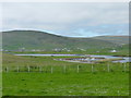 View across pasture towards Cunningsburgh marina and beyond