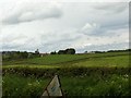 Farmland near Carrutherstown