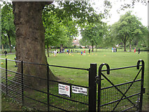 TQ3176 : Junior soccer training, Myatt's Fields Park by Robin Stott