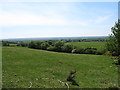 Farmland on the Irish border