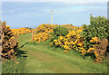 Track to Chanonry Point