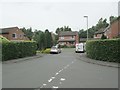 Plane Tree Avenue - viewed from Osprey Grove