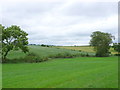 SP2846 : Farmland near Fulready by Nigel Mykura