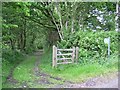 Bridleway from Pen-y-Mynydd