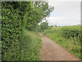 Footpath heading down to Nightingale