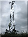 Another prominent pylon near Hillhouse Farm