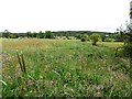 Gortreagh Townland