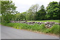 Dry stone wall beside Hargill Lane