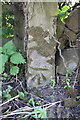 Benchmarked gatepost in roadside hedge near Elm House