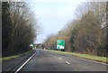 A31, Hogs Back