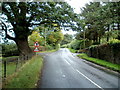 Traffic signs and a gnarled oak near Cathedine