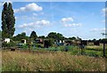 Wickford Allotments