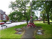 SK0203 : Pelsall, war memorial by Mike Faherty