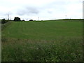 Farmland near Orrock Quarry