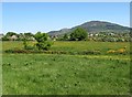 View north across grassland in the direction of Drumintee