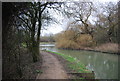 Harcamlow Way along the River Stort