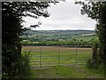 Pasture, above Swansea Farm