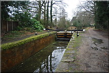 SU9557 : Lock 13, Basingstoke Canal by N Chadwick