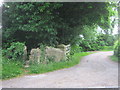 Wall stile for footpath next to Belleisle entrance