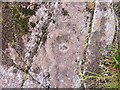 NM8202 : Cup and ring mark at Ormaig by Patrick Mackie