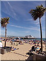 SZ0890 : Bournemouth: the pier between two palms by Chris Downer