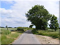 TM3683 : Rumburgh Lane, entering Rumburgh by Geographer