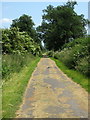 Footpath and national cycle route 51 towards Bletchley