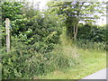 TM3483 : Footpath near Hulver Cottages by Geographer