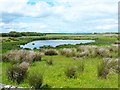 Small pond near Blakemoor Farm