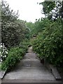 TQ2686 : Plant-lined steps, Hampstead Pergola and Hill Gardens NW3 by Robin Sones