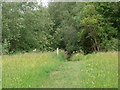 Footpath between Southam and Prestbury